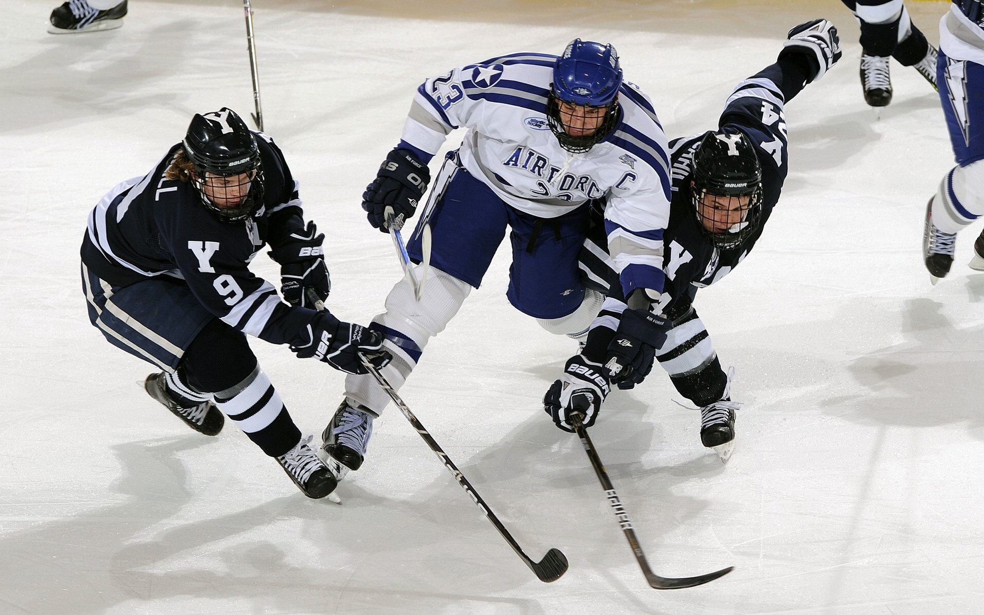 NBA球员职业生涯规划与转型支持研究，球员的职业生涯