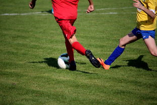 开云官网在线-NBA球员训练计划优化设计，nba运动员训练计划